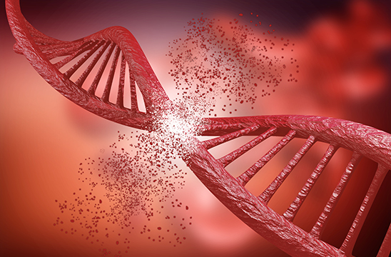 通过 CRISPR 进行基因工程改造和基因编辑