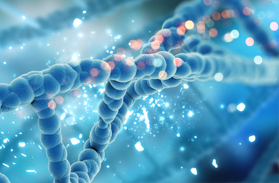 Learn more about Agilent’s NGS solutions.