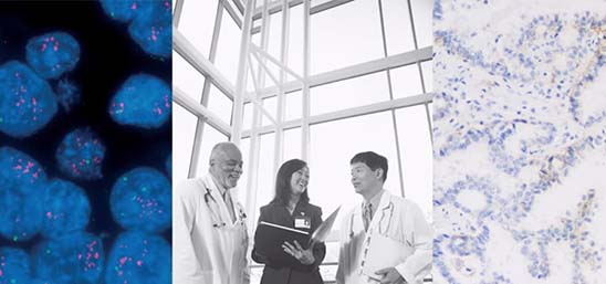 安捷伦科技公司网站