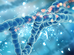 了解有关安捷伦新一代测序 (NGS) 解决方案的更多信息。 