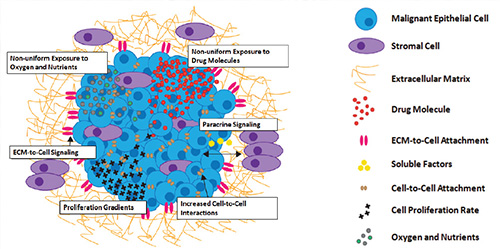 3D Cell Culture: A Review of Current Techniques