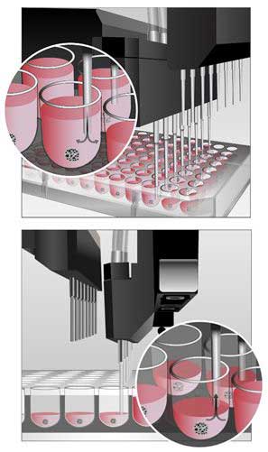 Using the Automated AMX Media Exchange Module and MultiFlo FX to Perform Media Exchanges with Unattached Spheroids