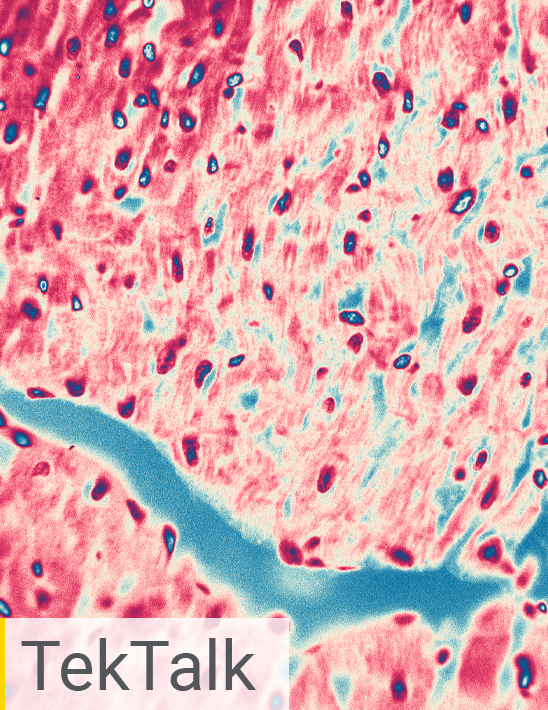 Characterization of Cell Health and Morphology