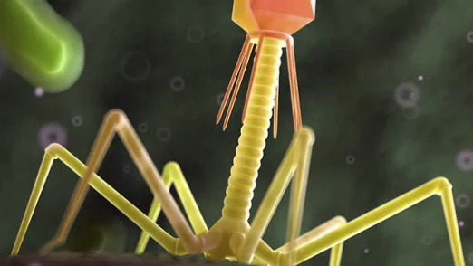 University of California Irvine