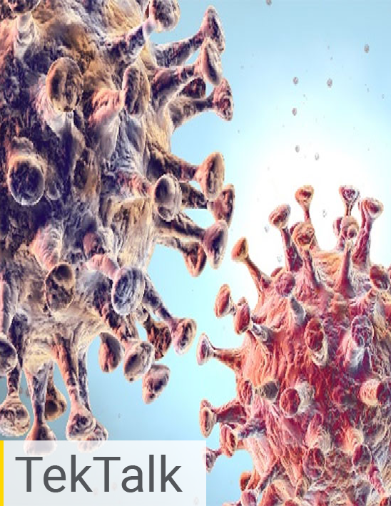Viral Infectivity Assays