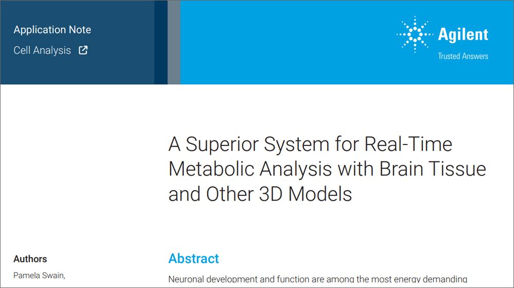 A Superior System for Real-Time Metabolic Analysis with Brain Tissue and Other 3D Models 