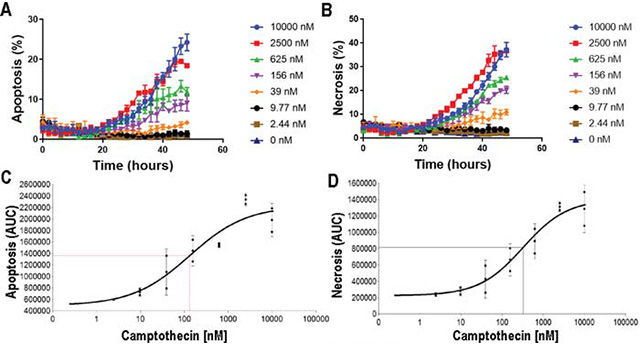 Live Cell Imaging of Apoptosis and Necrosis<br>
