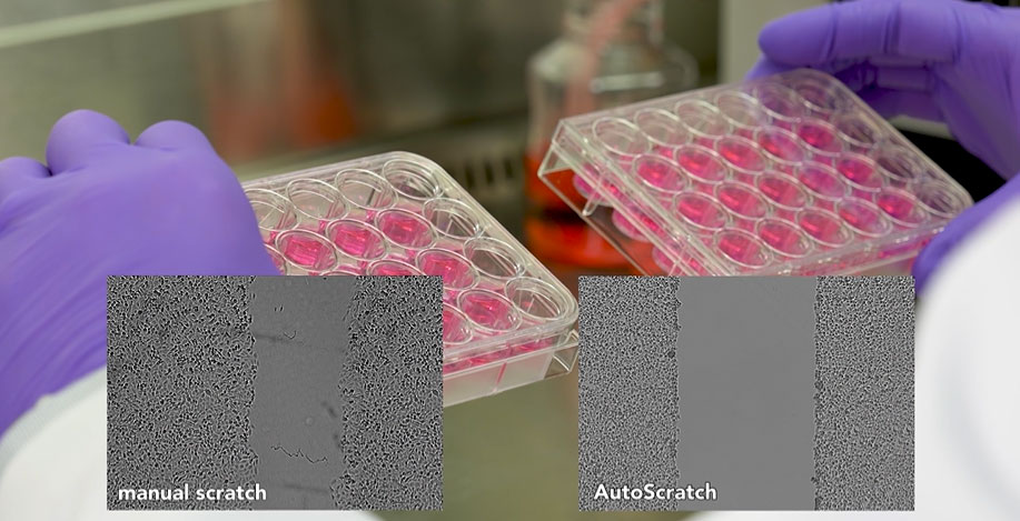 Agilent BioTek AutoScratch Wound Making Tool and Scratch Assay App