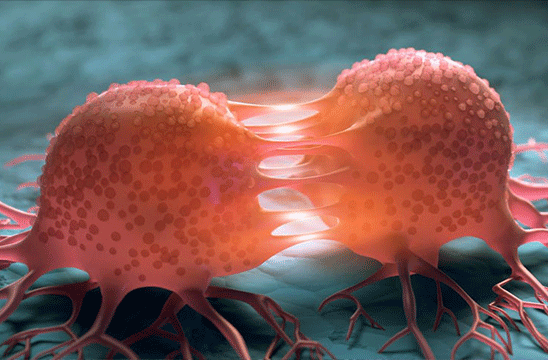 More under About Agilent