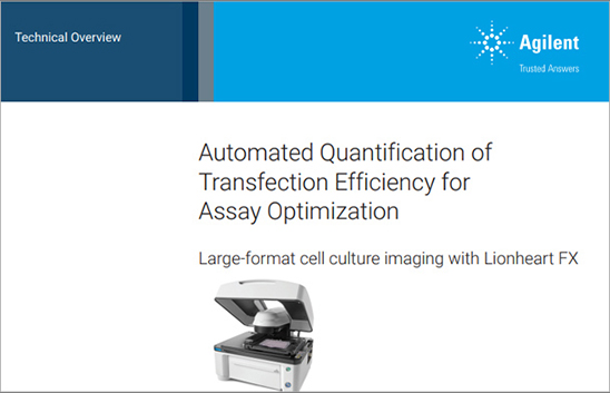 Automated Quantification of Transfection Efficiency for Assay Optimization