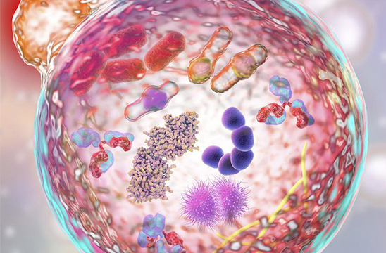 Equip your new lab with the latest Agilent Cell Analysis Technologies