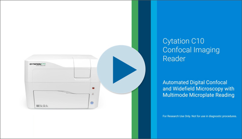 Confocal Fluorescence Imaging