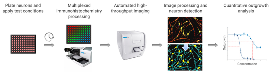 Application solution overview for labeled cell analysis workflow.