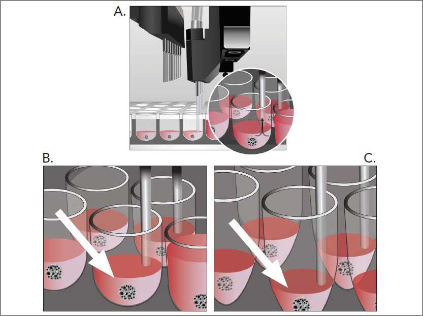 Automated Media Exchange for Spheroid Cultures Using a Novel MultiFlo FX Accessory