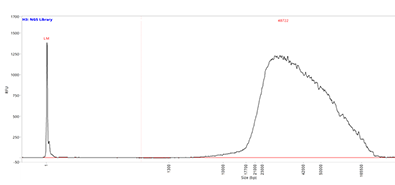 Long-read sequencing library separated on the Femto Pulse system