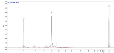 Small RNA library separated using the HS Small Fragment kit