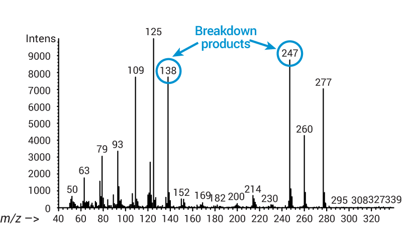 Stainless steel ion source