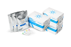 Seahorse XF 细胞代谢分析