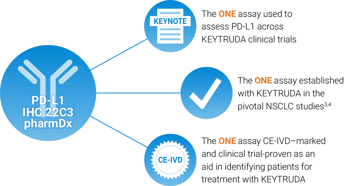 PD-L1 IHC 22C3 pharmDx (SK006) Graphic