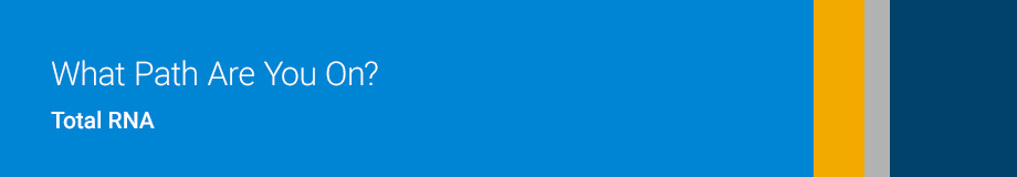 What Path Are You On?