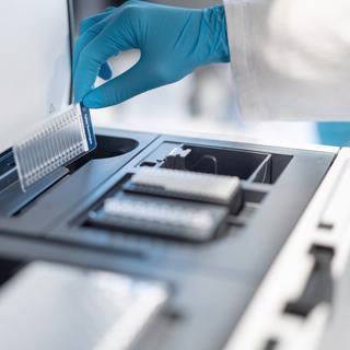高灵敏度基因组 DNA ScreenTape 分析
