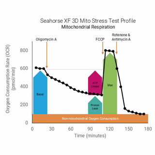 Seahorse XF 线粒体压力测试试剂盒