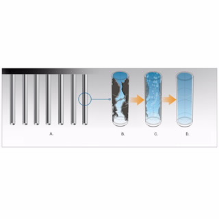 BioTek 405 TS 洗板机