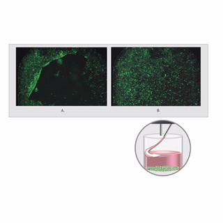 BioTek 405 TS 洗板机