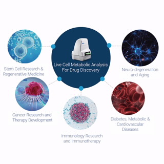 Seahorse XF Pro 分析仪