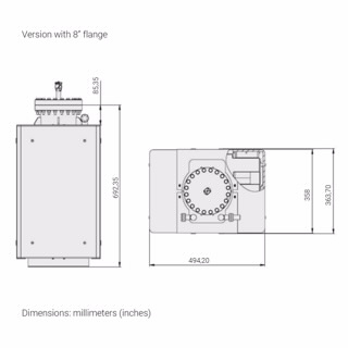 VacIon Plus 800 泵