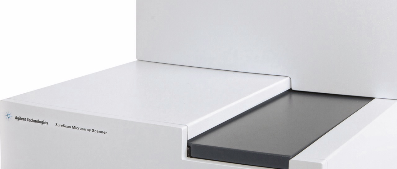 微阵列芯片处理