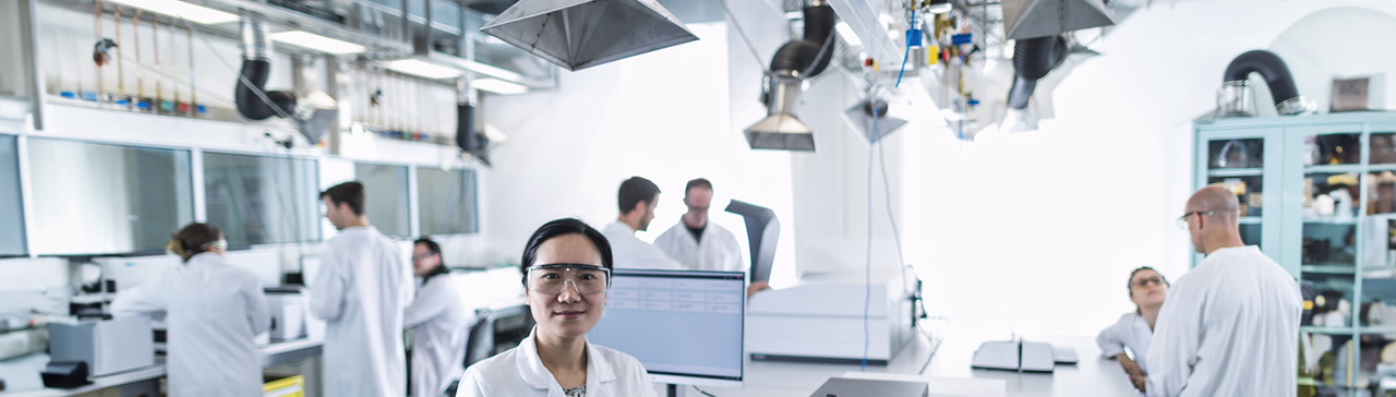 培训与应用服务