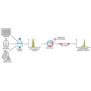 InfinityLab 二维液相色谱 ProtA-SEC 工具包和服务