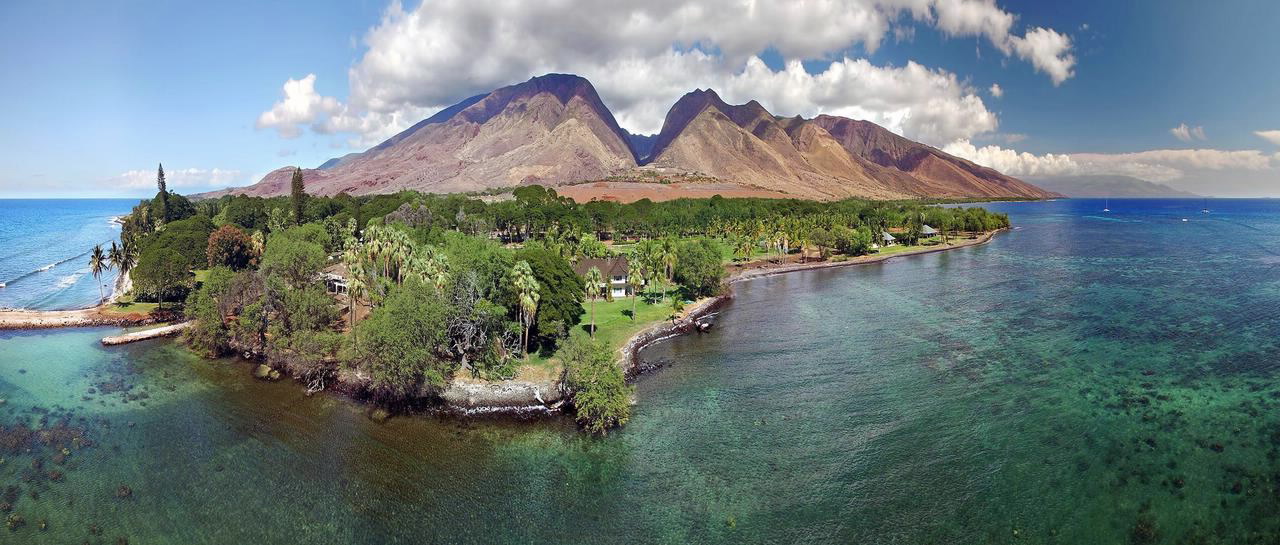 分析标准物质和标准品