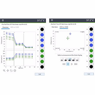 Seahorse XF HS Mini 分析仪
