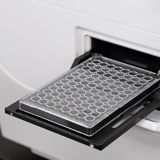 细胞培养和成像微孔板