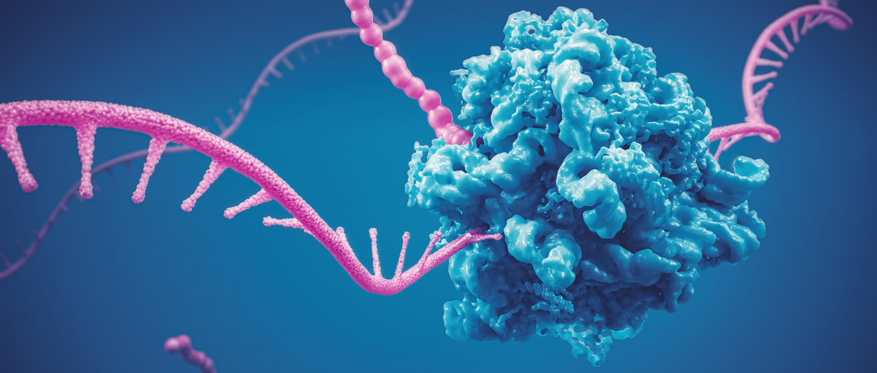 生物制药 HPLC 分析