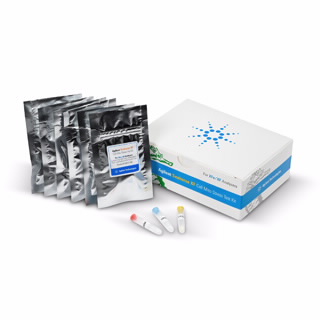 Seahorse XF 线粒体压力测试试剂盒