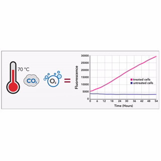 BioTek Synergy H1 多功能微孔板检测仪