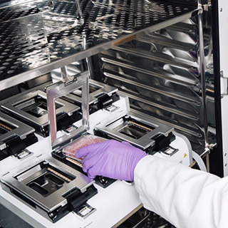 xCELLigence RTCA MP - 多板